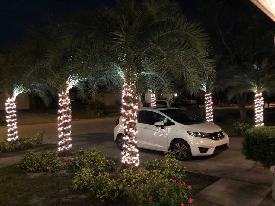 La Vigneta Tampa